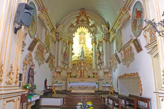 sao-paulo-6-hour-private-city-tour
