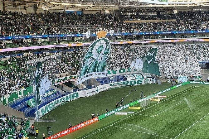 sao-paulo-palmeiras-game-experience-with-local