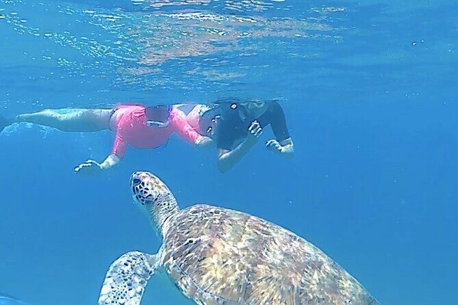 São Pedro experience (hiking & snorkeling with turtles) - Key Points