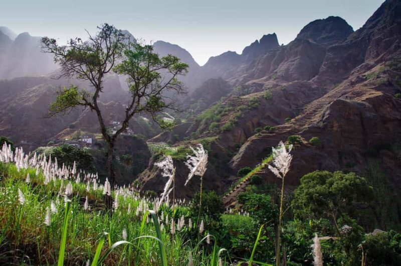 São Vicente and Santo Antão in 8 days and 7 nights - A Closer Look at the 8-Day Itinerary