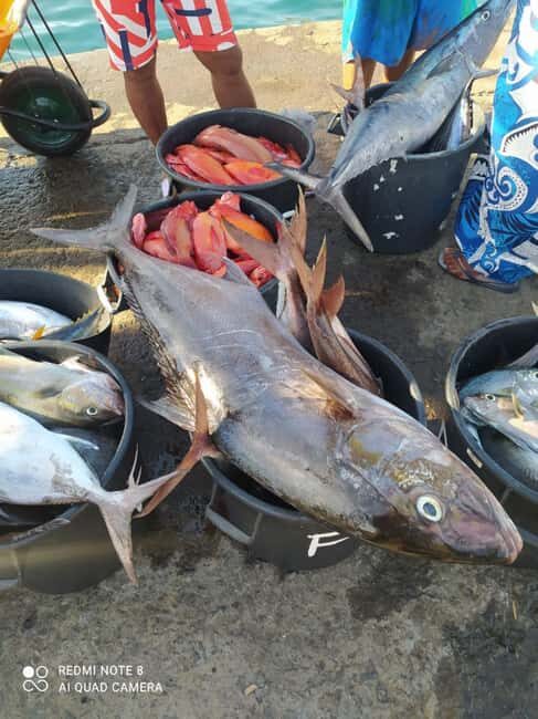 São Vicente Half Day - The Itinerary: What Makes Each Stop Special