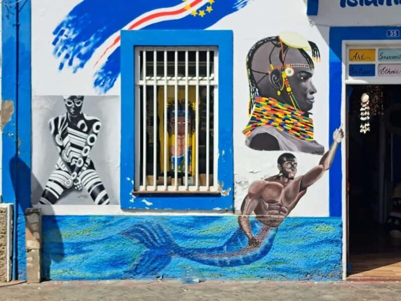 São Vicente Half Day - Practical Details and What to Expect