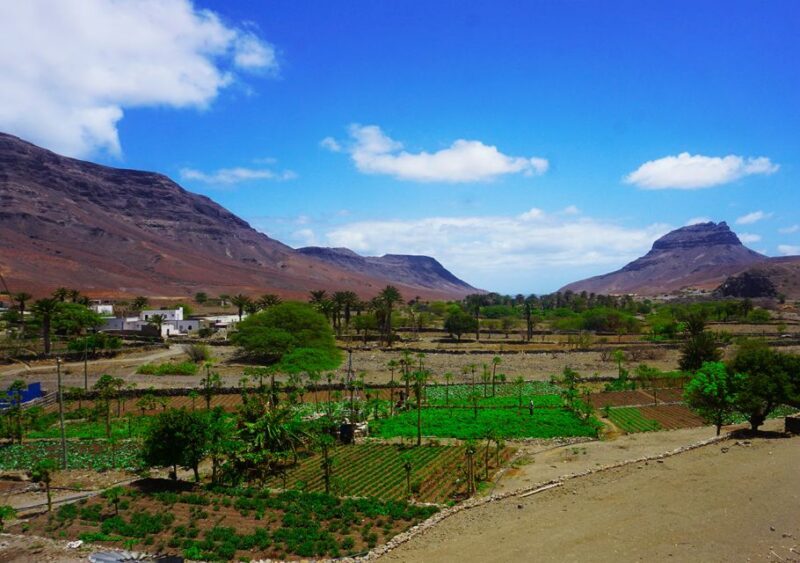 São Vicente Island: Full-Day Tour - Genuine Experiences & Honest Insights