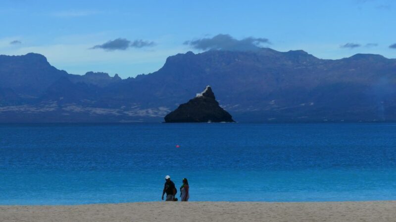São Vicente: Markets, Beaches and Natural Park Tour - A Closer Look at the São Vicente Experience