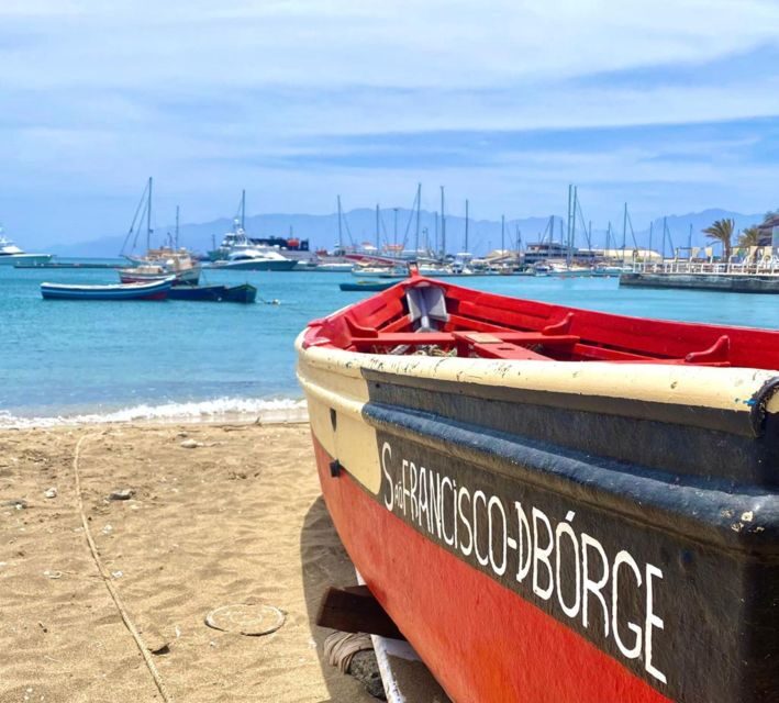 São Vicente: Snorkel with Sea Turtles Adventure - Price and Inclusions