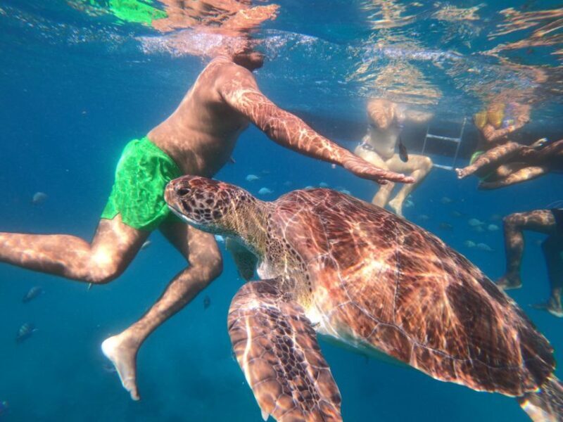 São Vicente: Snorkeling with Turtles Breathtaking Experience - Final Thoughts
