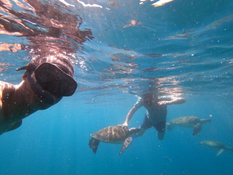 São Vicente: Snorkeling with Turtles Breathtaking Experience - Frequently Asked Questions