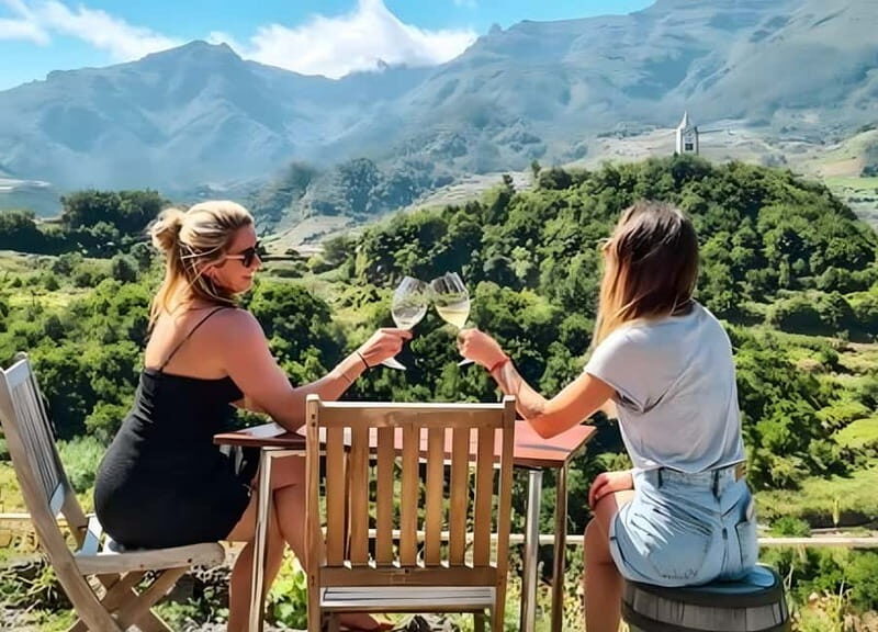 São Vicente Vineyard Visit With Traditional Lunch - Who Will Love This Tour?
