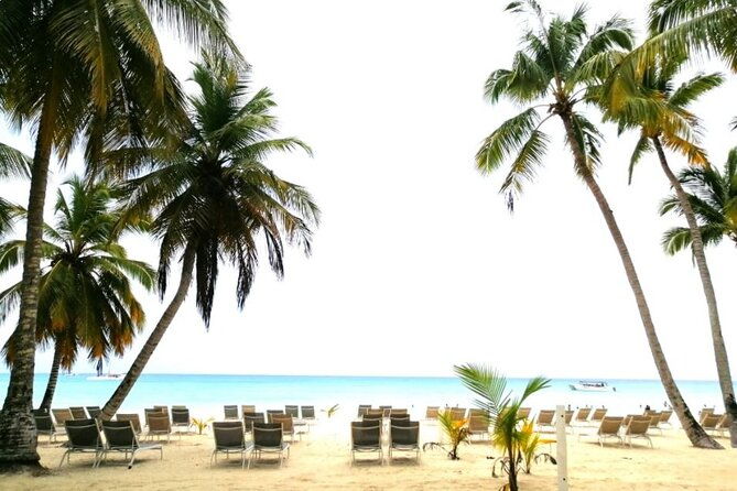 saona-for-cruiseship-passengers