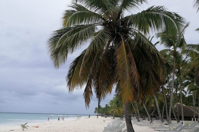saona-for-cruiseship-passengers