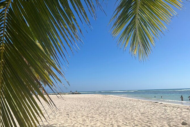 saona-island-and-chavon-river-tour-with-lunch-and-drinks