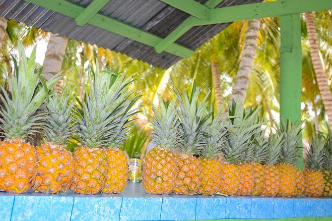 saona-island-day-trip