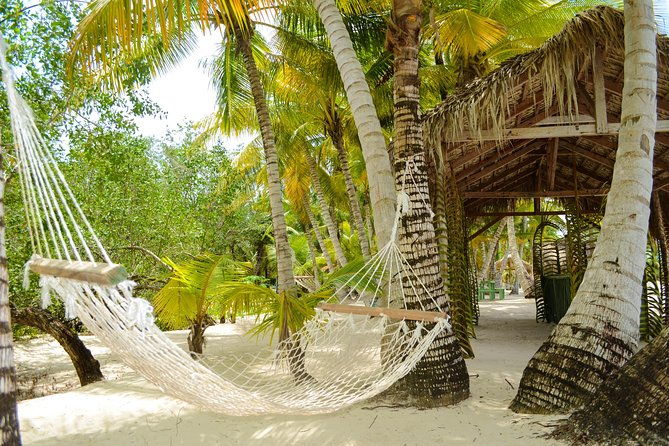 saona-island-day-trip