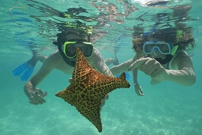 saona-island-day-trip-from-punta-cana-with-lunch-and-open-bar-2