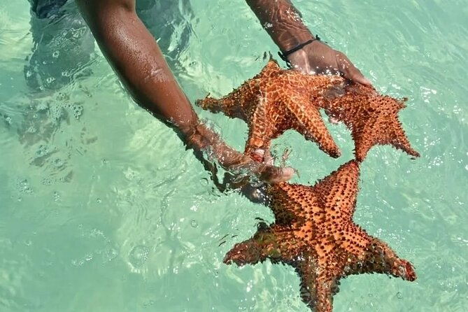 saona-island-day-trip-from-punta-cana-with-lunch-and-open-bar-2