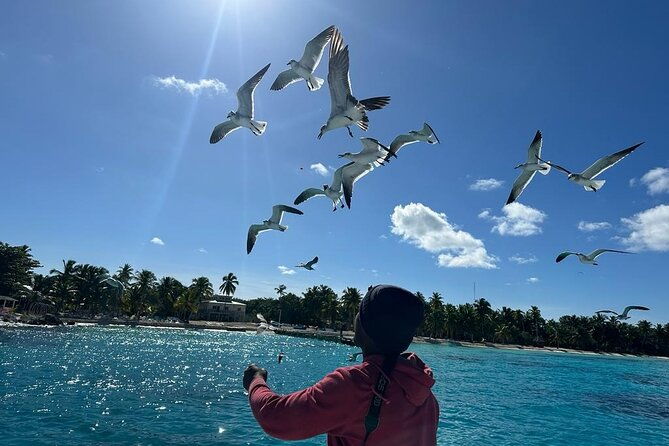 saona-island-for-aida-passengers-from-la-romana-port