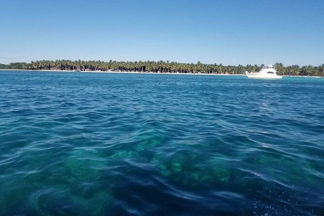 saona-island-full-day-tour-from-las-terrenas-with-lunch