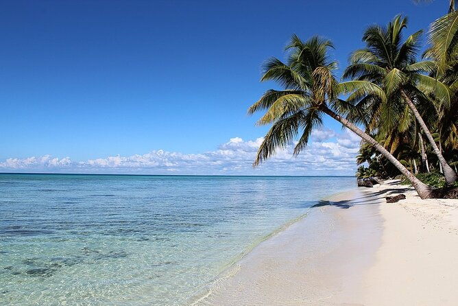 saona-island-full-day-tour-from-las-terrenas-with-lunch