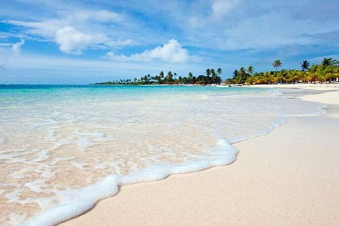 saona-island-full-day-tour-with-lunch-from-punta-cana