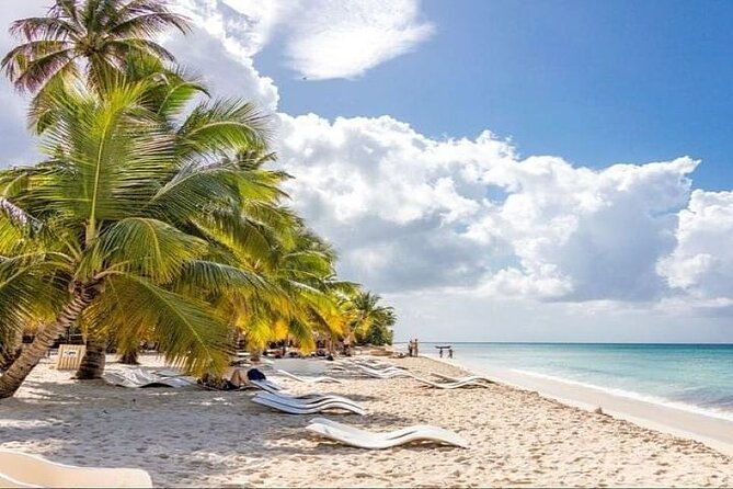 saona-island-full-day-tour-with-lunch-from-punta-cana