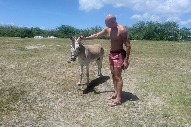 saona-island-premium-discovery-tour-from-punta-cana-or-bayahibe
