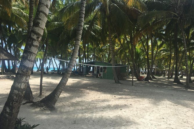 saona-island-sailing-tour-with-private-transportation-from-punta-cana