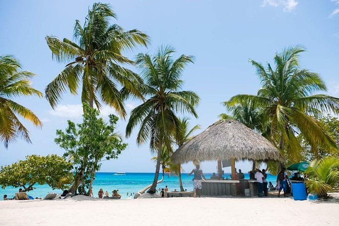 saona-island-tour-from-punta-cana