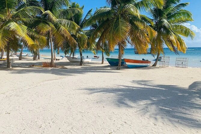 saona-island-tour-from-santo-domingo-with-lunch-open-bar-pickup