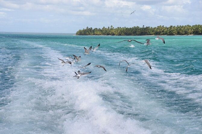 saona-mano-juan-song-of-the-beach-away-from-the-tourist-crowds