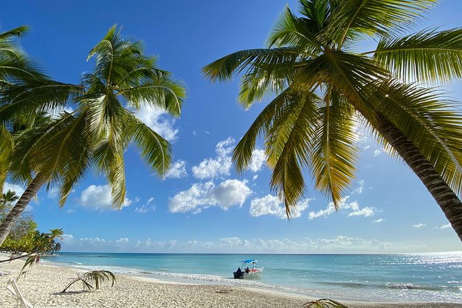 saona-private-full-day-tour-from-punta-cana