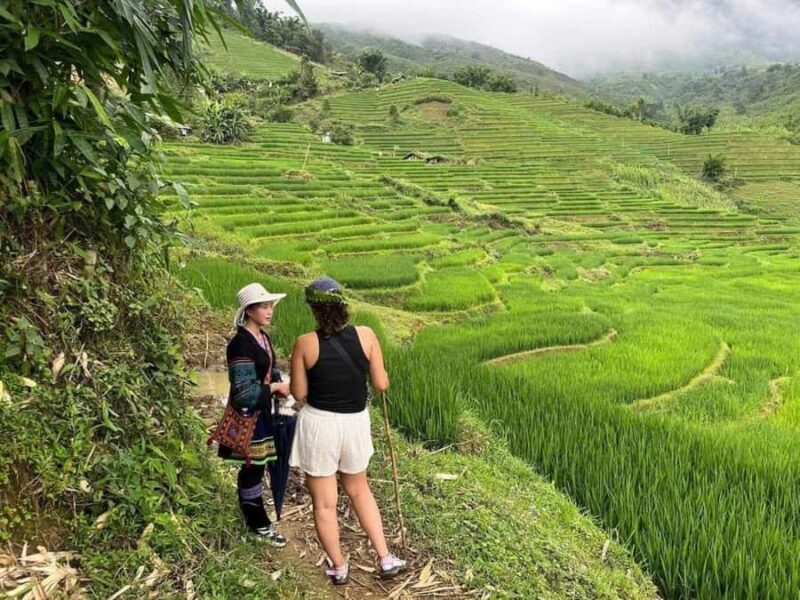 Sapa 1-Day Trek: Local Ethnic Guide, Villages & Terraces - FAQ: Your Practical Questions Answered