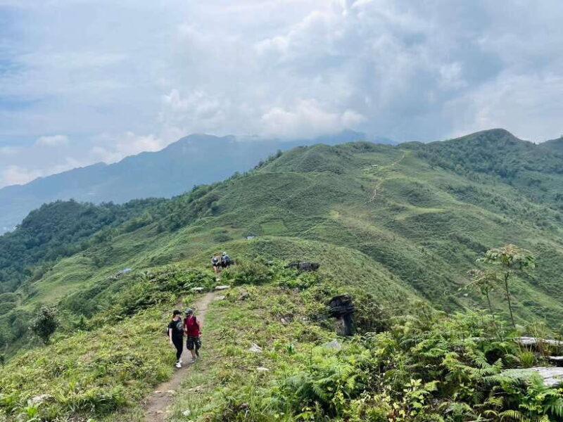 Sapa: 1-Day Trek to Mountain, Local Villages & Rice Terraces - Frequently Asked Questions