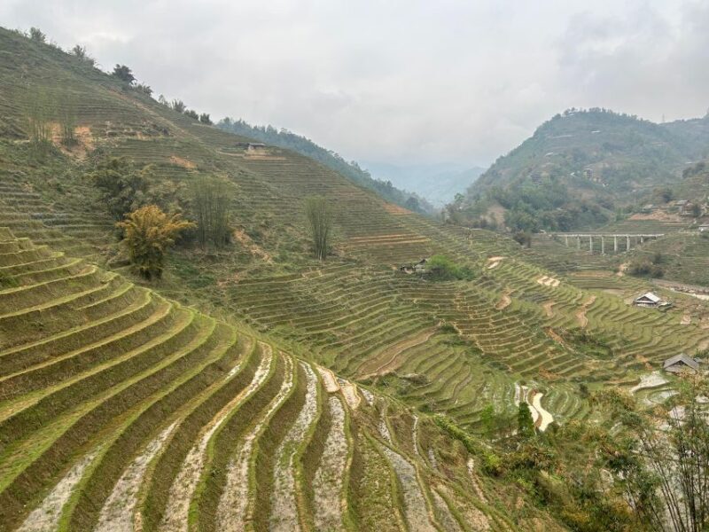 Sapa 1 day trekking hidden place of terraced fields - Authenticity and Local Flavor: Real Experiences