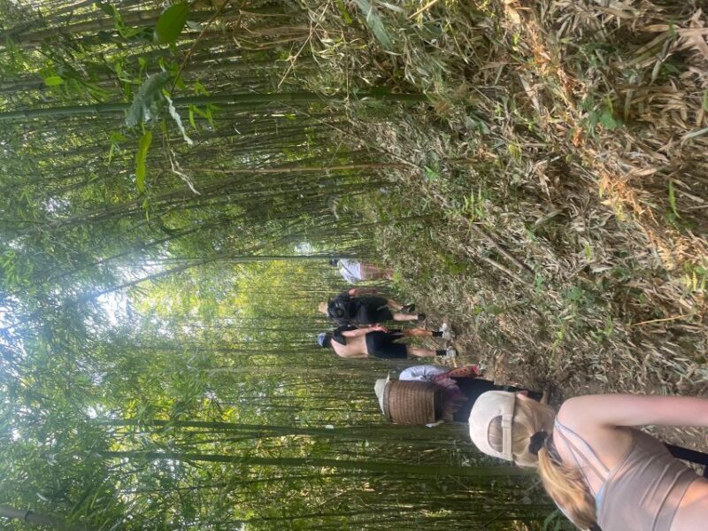 Sapa 1 day trekking hidden place of terraced fields - Who Should Consider This Tour?