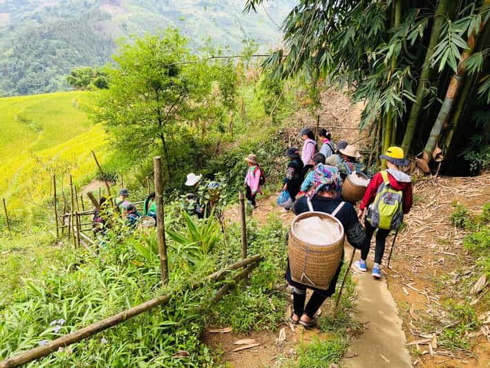 Sapa 1-Day Trekking Tour: Rice Terraces & Villages - Discovering Vietnam’s Iconic Landscapes in a Day  