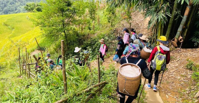 Sapa 1-Day Trekking Tour: Rice Terraces & Villages - Practical Details and Value  