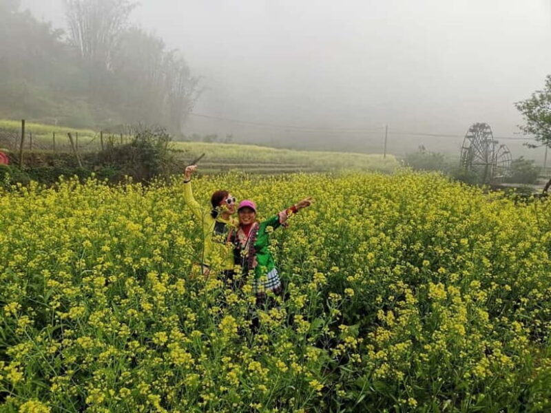 Sapa 2-Day Adventure: Trekking Lao Chai, Ta Van & Fansipan - Introduction: Why Consider the Sapa 2-Day Adventure?