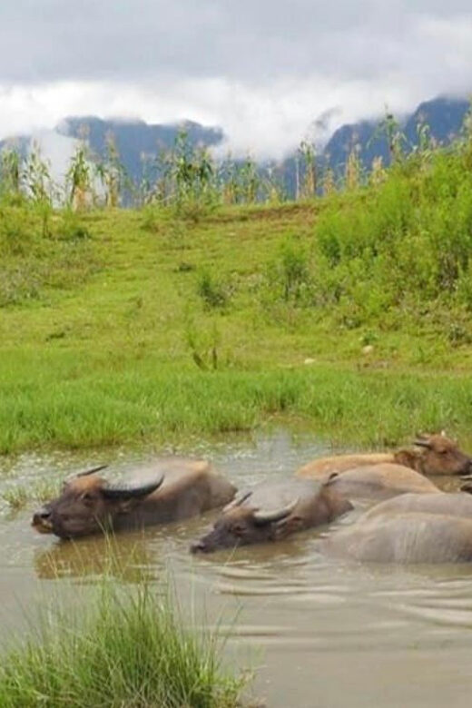 SAPA 2 Day trekking & 1 night Homestay with LOCAL PEOPLE - Final Thoughts