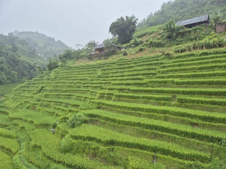 sapa-2-day-trekking-1-night-homestay-with-local-people