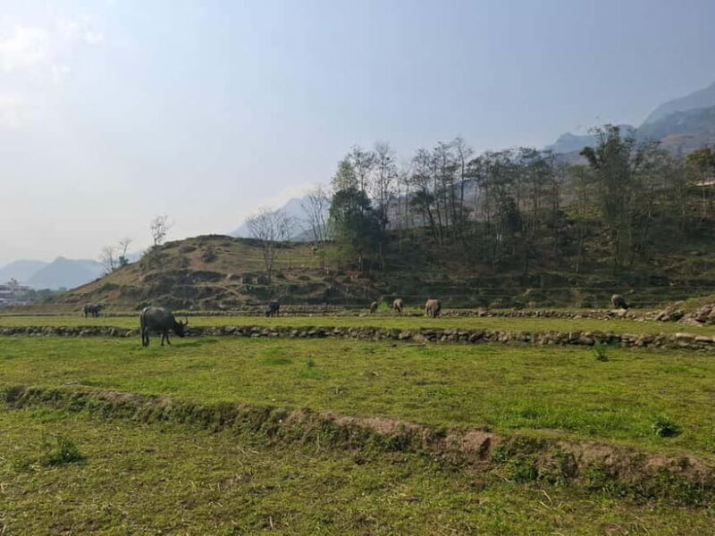 Sapa: 2 day trekking experience - Key Points