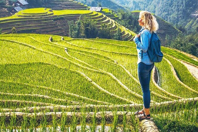 Sapa 2 Days 1 Night Tour from Hanoi  Trekking & Local Experience - Discovering Sapa in a Short Time: An Honest Look at the 2-Day, 1-Night Tour from Hanoi
