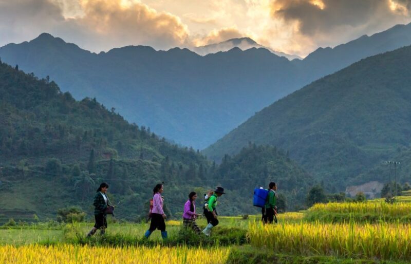 Sapa 2-Days Trek tour - Stay Sapa Homestay - Overview of the 2-Day Trek Experience