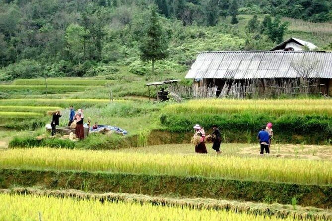 Sapa 3 Days Trekking Tour By Bus from Hanoi (2 Nights in Hotel) - Who Should Consider This Tour?