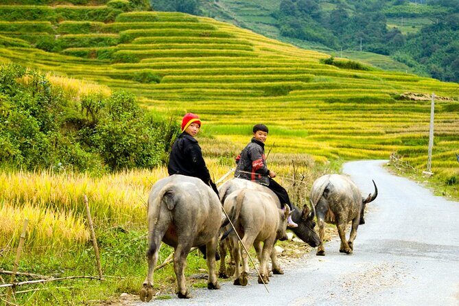 Sapa 3 Days Trekking Tour By Bus from Hanoi (2 Nights in Hotel) - Final Thoughts