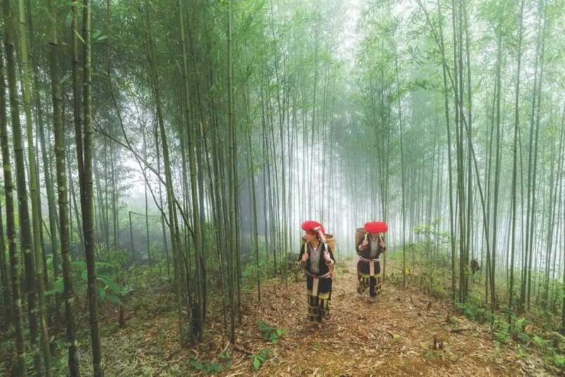 Sapa: 4-Day Trekking Tour with Homestay - Introduction