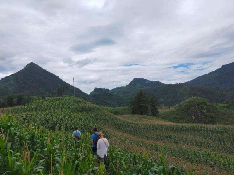 sapa-amazing-suoi-ho-ma-tra-villages-private-day-trip
