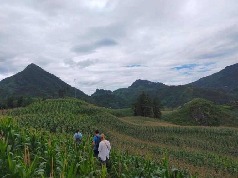 sapa-amazing-suoi-ho-ma-tra-villages-private-day-trip