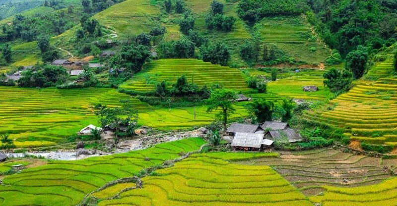 Sapa beautiful rice field, village - Easy walking kid,senior - Key Points