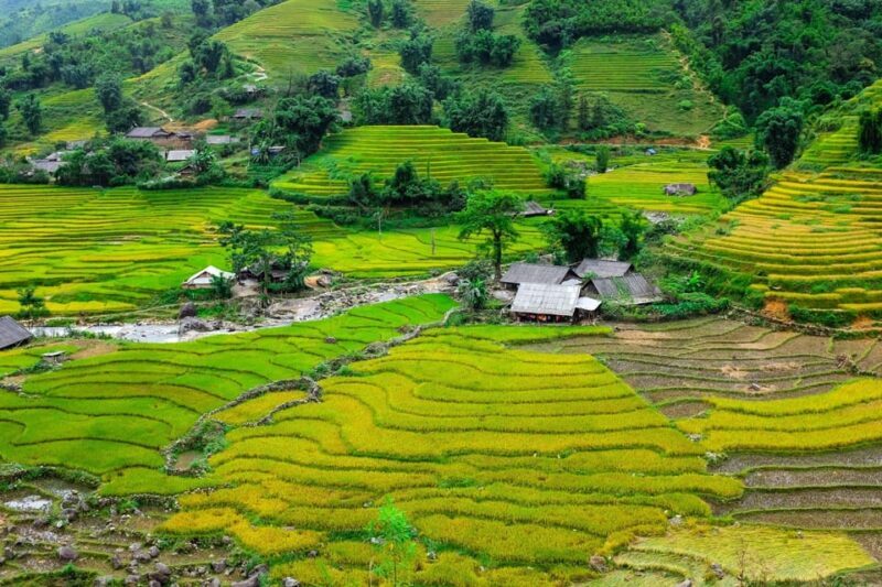 Sapa beautiful rice field, village - Easy walking kid,senior - An In-Depth Look at the Tour Experience