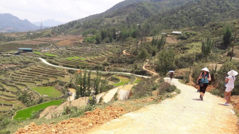 Sapa beautiful rice field, village - Easy walking kid,senior - Authentic Insights from Reviewers